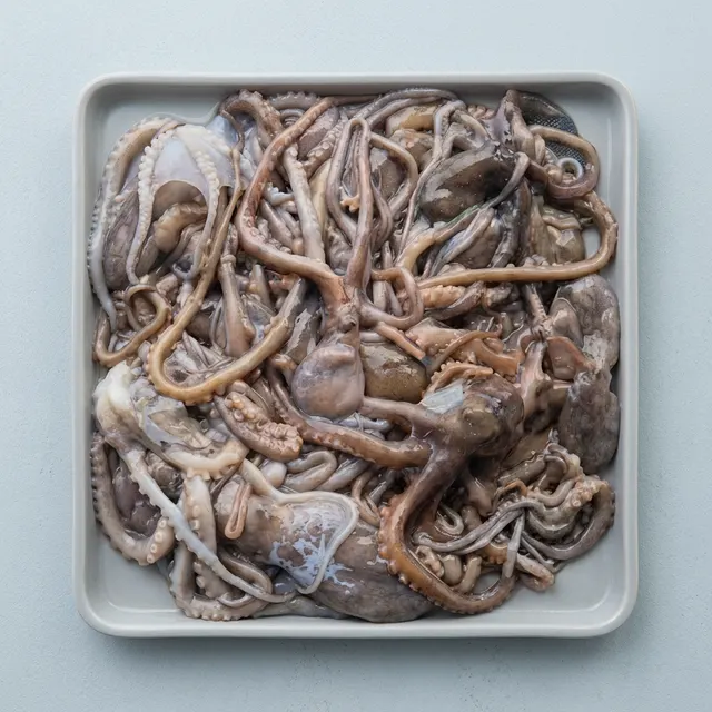 서해 선동 낙지, 1kg, 3팩